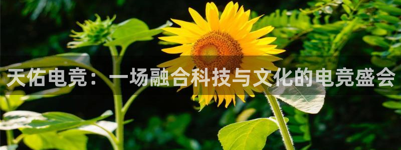 易游电竞：天佑电竞：一场融合科技与文化的电竞盛会