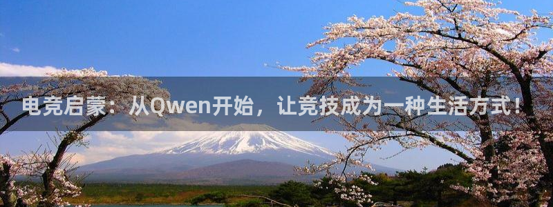 易游电竞官网：电竞启蒙：从Qwen开始，让竞技成为一种生活方式！