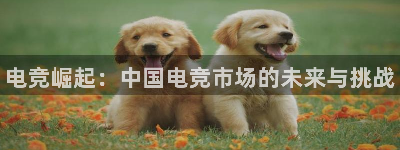 易游电竞：电竞崛起：中国电竞市场的未来与挑战